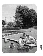 雷電池 『雷電池』の画像