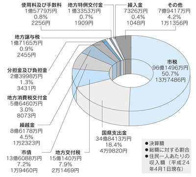 歳入総額円グラフ