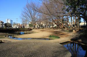 雷電池児童公園(外観・池より遊具を望む)