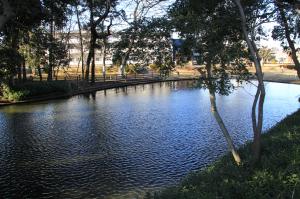 雷電池児童公園(雷電池・北西より)