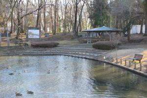 池尻池公園(池と東屋)