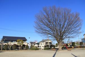 下向児童公園(メインツリー)