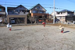 新町中央広場(ライドタイプ)