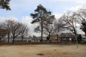 富士見台児童公園(全景・松の木)