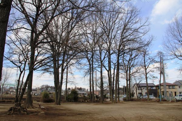 どんぐり公園(全景)