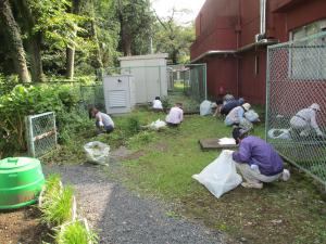 除草作業の様子