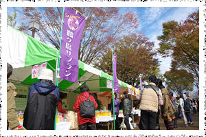 サフランフェスタ