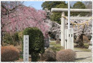 日枝神社「高倉獅子舞の里」