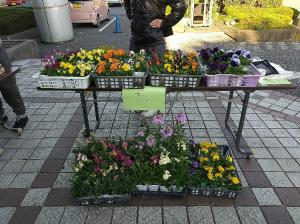 朝市お花等