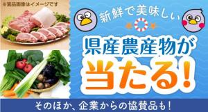 埼玉県コバトン健康マイレージ