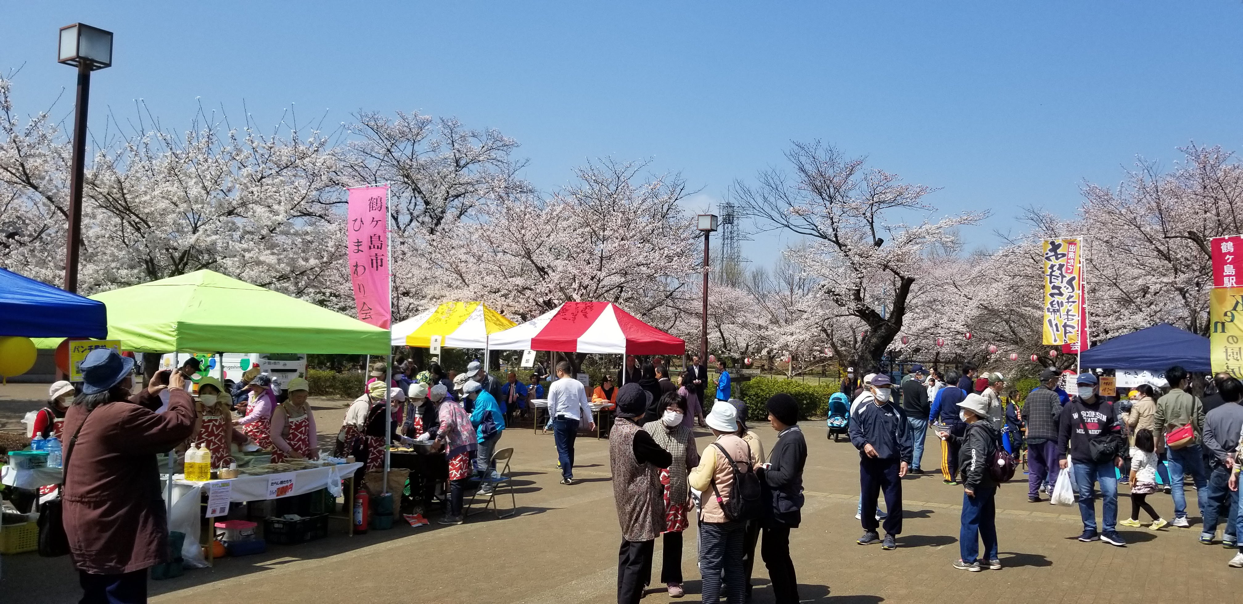 桜まつり写真