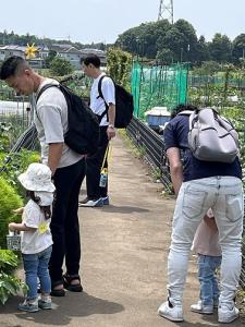 農園の作物を見ながら散歩する親子