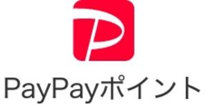 PayPay ポイント