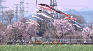 サンプル画像3