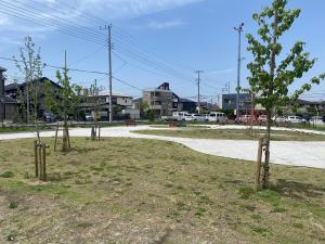 わかばハンカチノキ公園