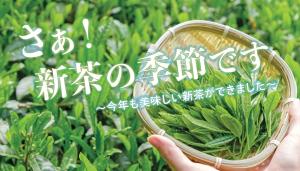 新茶キャンペーン(R6.5.27登録)