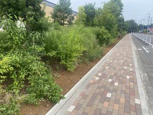 ガーデンパーク(遊歩道②)