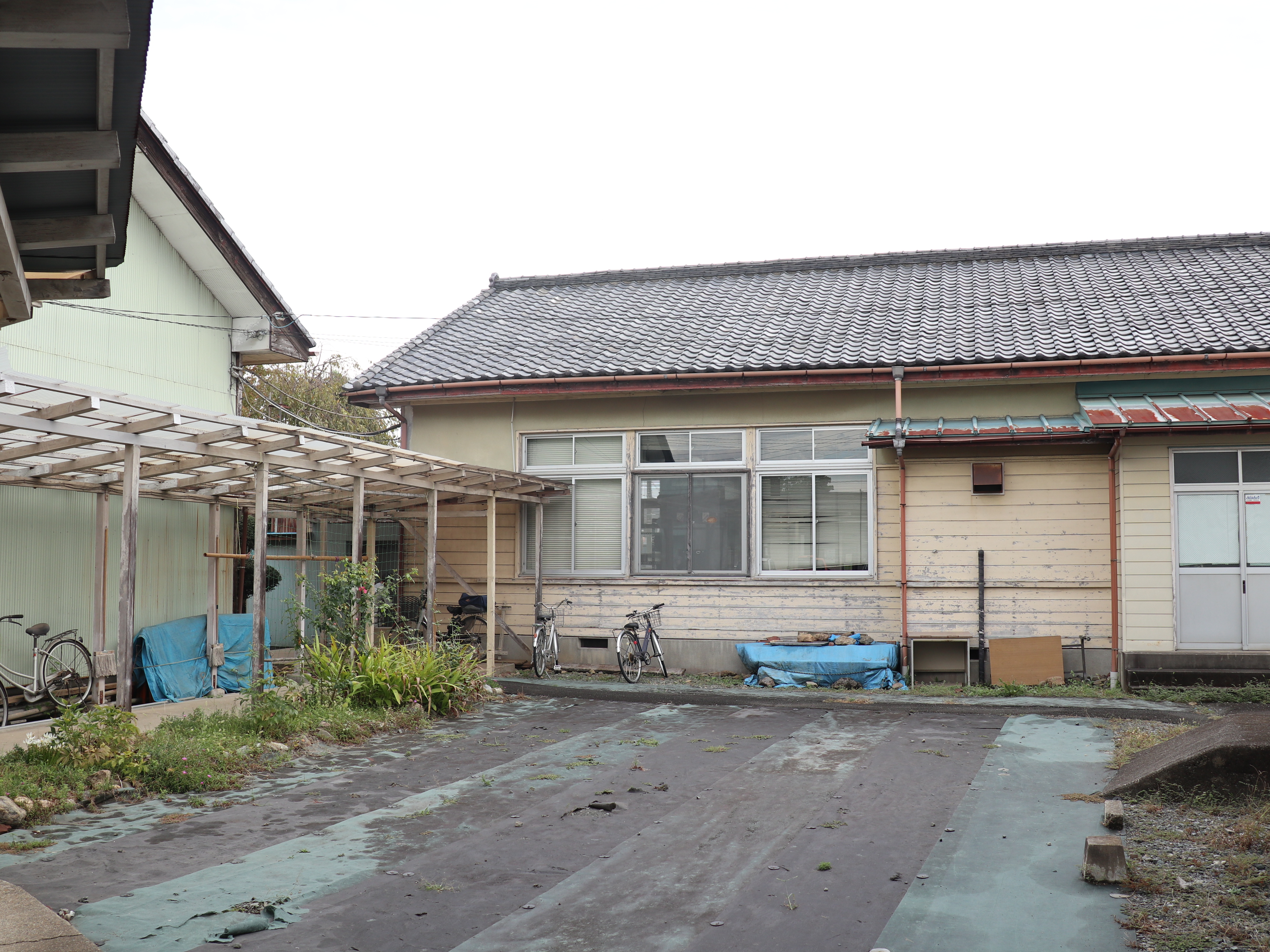 サンプル画像1