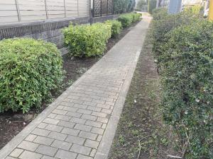 羽折緑道