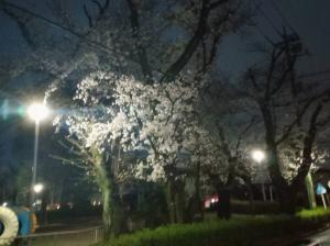 サンプル画像4