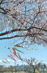サンプル画像2