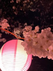 サンプル画像2