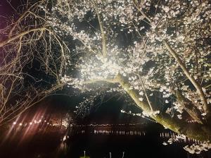 サンプル画像2