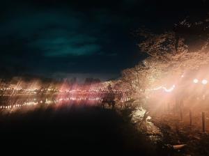 サンプル画像4