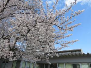 サンプル画像1