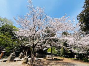 サンプル画像3