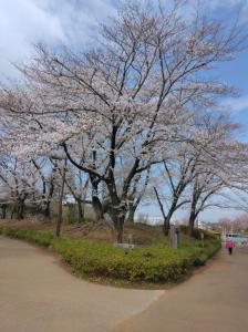 サンプル画像4