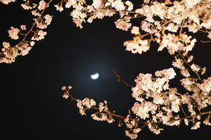 サンプル画像1