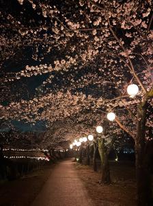 サンプル画像1
