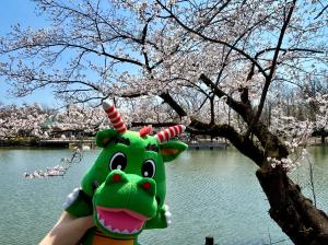 サンプル画像1
