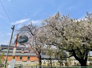 サンプル画像4