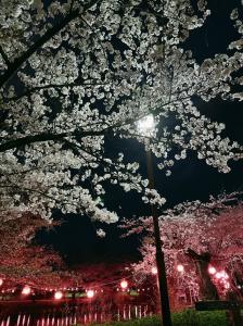 サンプル画像2