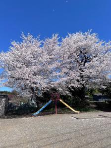 サンプル画像1