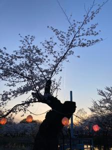 サンプル画像2