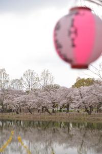 サンプル画像3