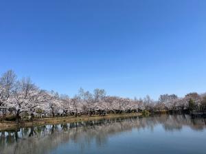 サンプル画像4