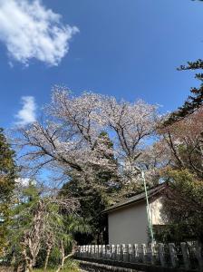 サンプル画像2