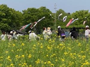 菜の花を見ながらお散歩の親子