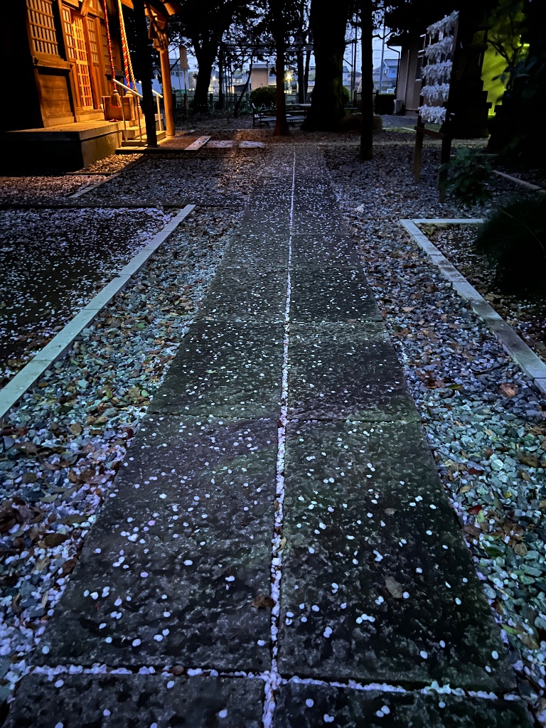 サンプル画像4