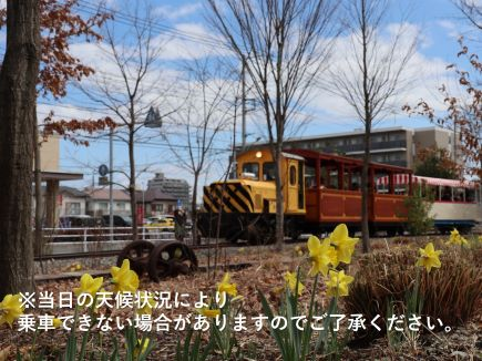 【UP用】関水本線乗車体験