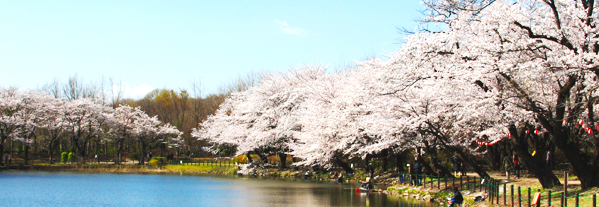 鶴ヶ島市の風景1