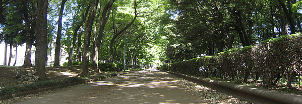 鶴ヶ島市の風景9